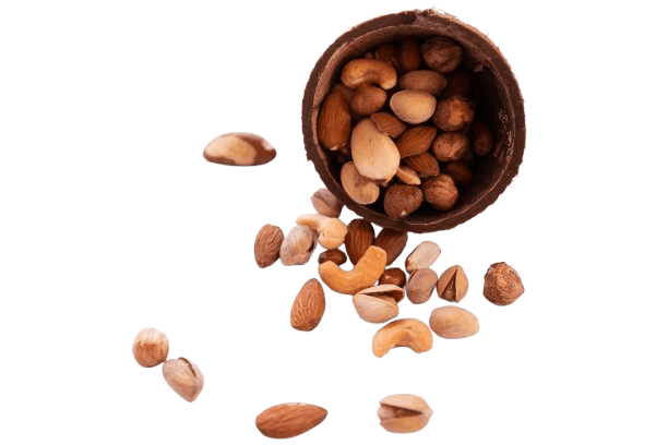 Brazil-nuts