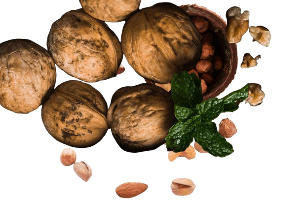 Tulsi-Walnut-Shell