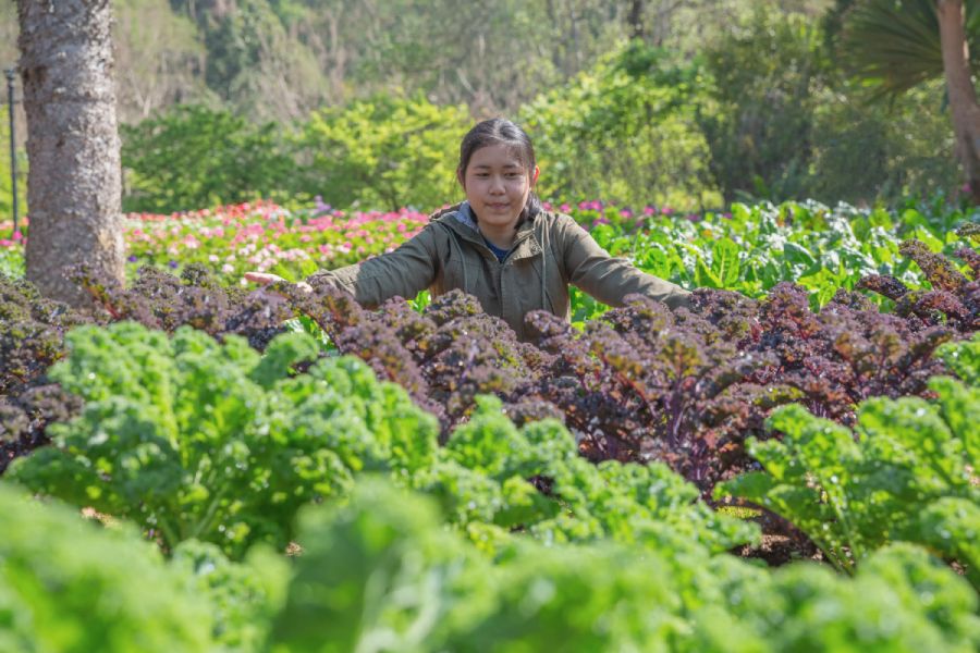 Agriculture