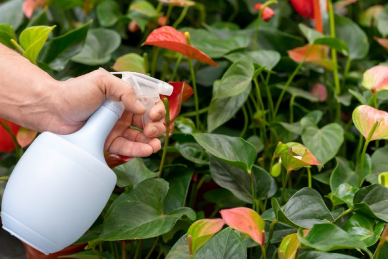 Agrochemical
