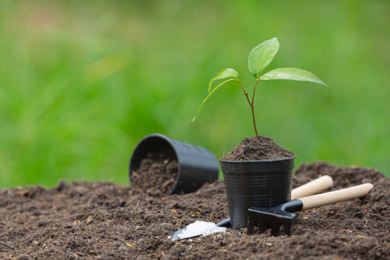 Fertilizers