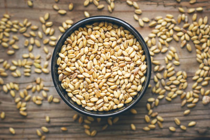 Wheat