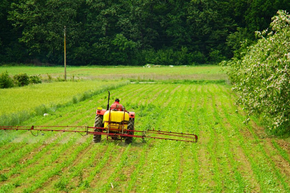 agriculture (1)