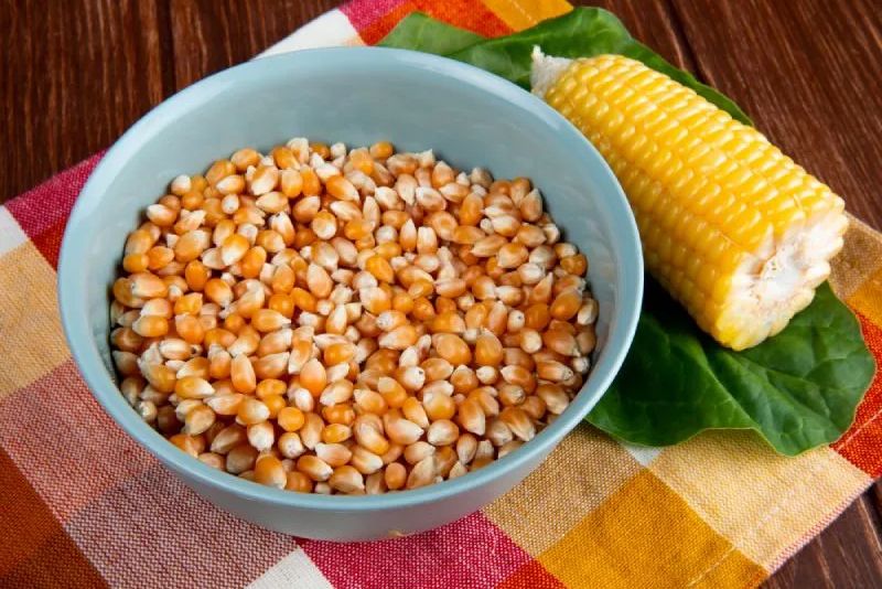 Updated_Maize
